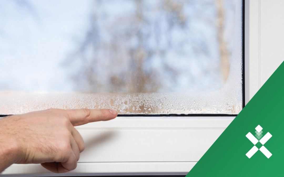 Jak si poradit s příliš vlhkým nebo suchým vzduchem v bytě?